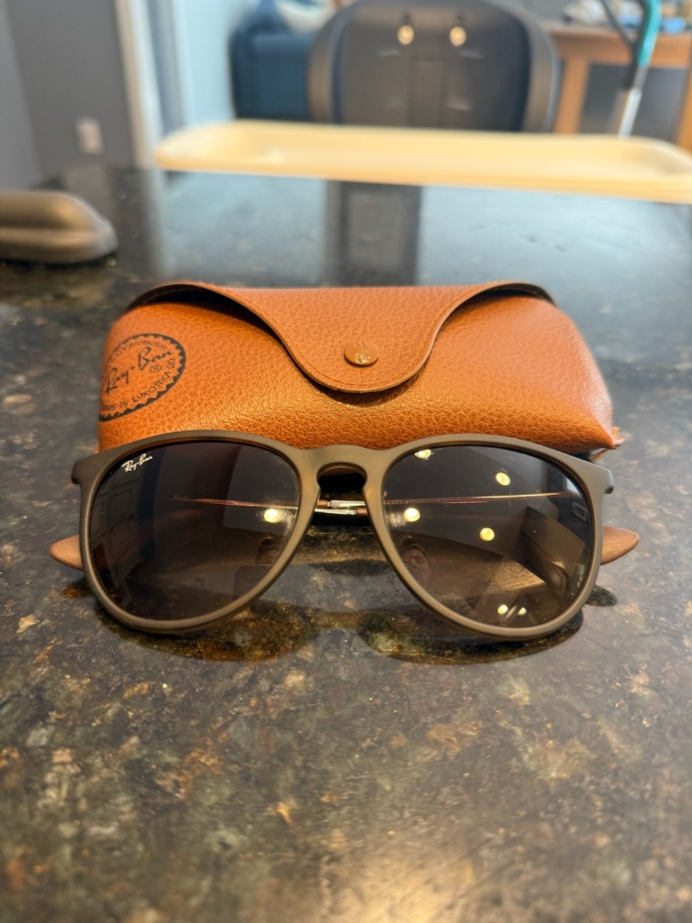 Ray-Ban Matte Brown Frame Sunglasses with Brown Case
